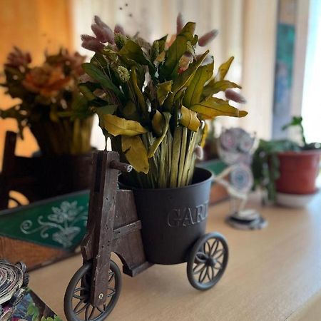 Pension A Pedra Думбрия Экстерьер фото